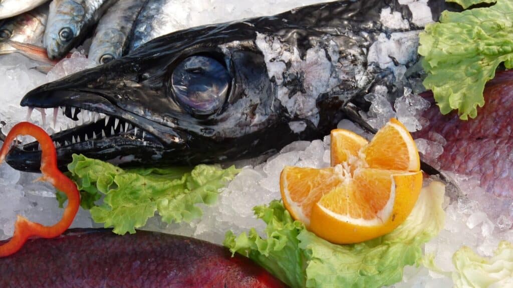 Unser Sortiment Bei YIN Seafood