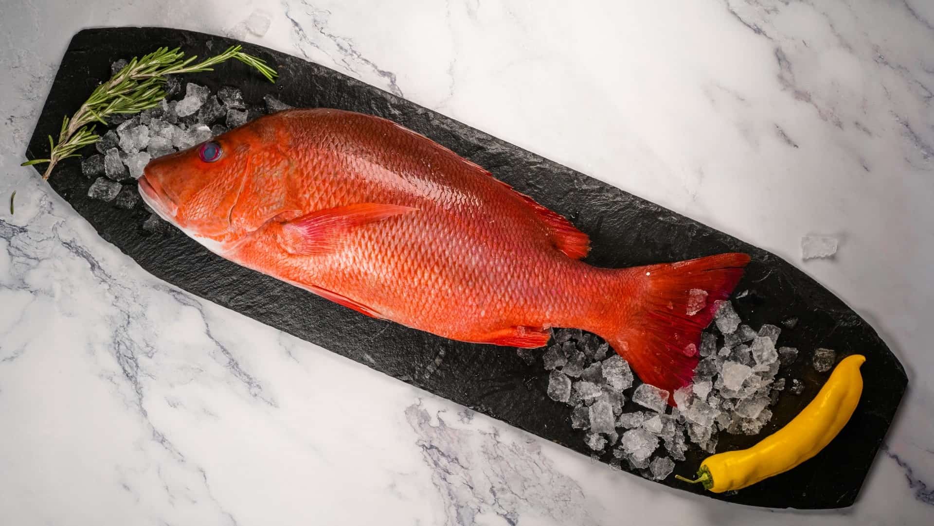 Read more about the article Red Snapper